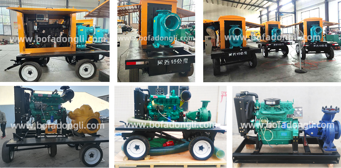 6608ced47991f.jpg 5fbf1dc6ef4d7.jpg